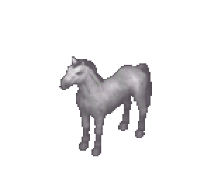 Ice White horse colour