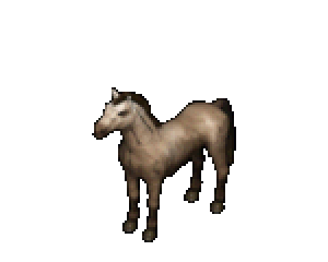 Native brown horse colour