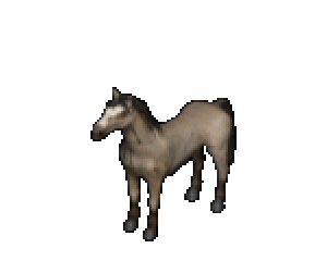 Native tan horse colour