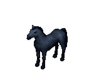 Rare Blue horse colour
