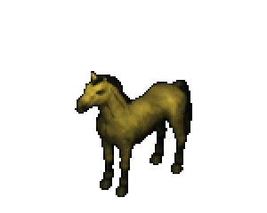 Rare Gold horse colour