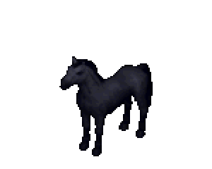 Shadow Black horse colour