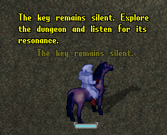 Character with the yellow message to explore the dungeon and listen for resonance
